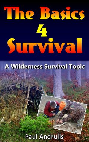 Cover of the book Basics 4 Survival by John Roach