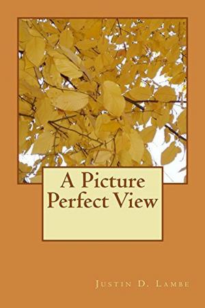 Book cover of A Picture Perfect View