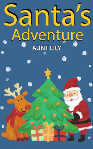 Book cover of Santa's Adventure