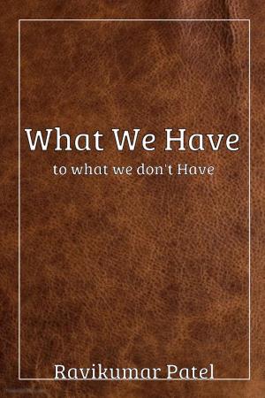 Cover of the book What We Have To What We Don't Have by 王 穆提