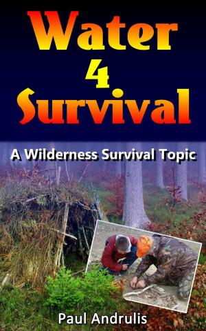 Book cover of Water 4 Survival