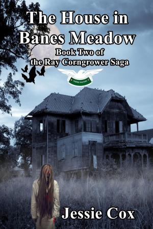 Cover of the book The House In Banes Meadow by Jocelyne Allen