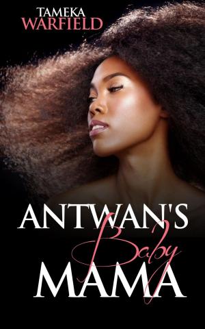 Cover of Antwan's Baby Mama