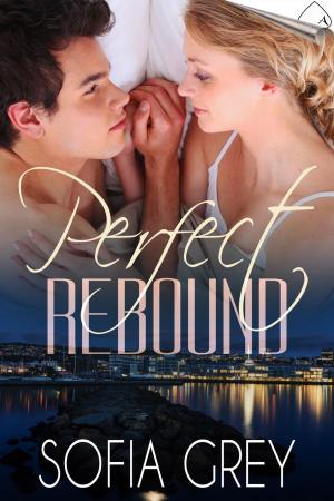 Cover of the book Perfect Rebound by Allyson Lindt
