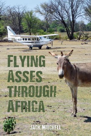 Book cover of Flying Asses Through Africa