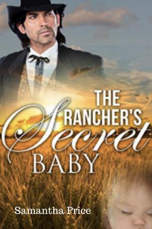 Book cover of The Rancher's Secret Baby