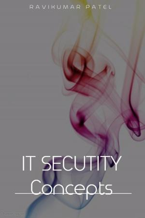 Cover of IT Security Concepts