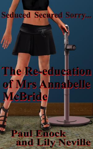 Book cover of The Re-education of Mrs Annabelle McBride