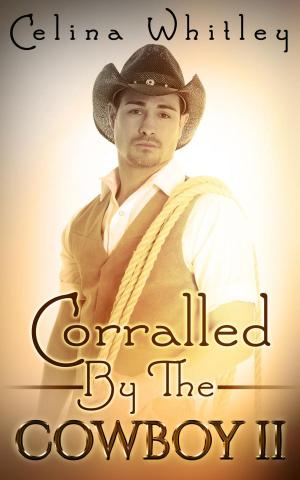 Book cover of Corralled by the Cowboy: 2