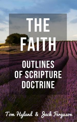 bigCover of the book The Faith: Outlines of Scripture Doctrine by 