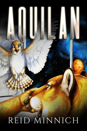 Cover of the book Aquilan by Stacy Bender