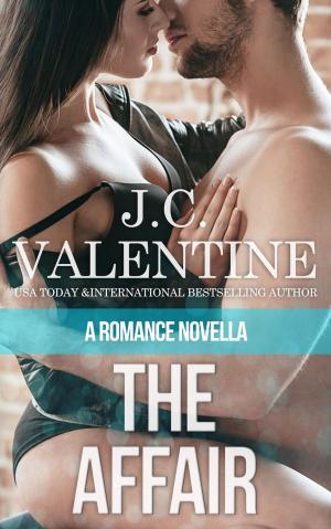 Cover of the book The Affair by Valia Vixen, Jocelyn Dex