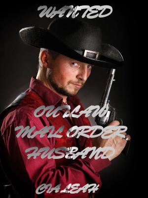 Book cover of Wanted: Outlaw Mail Order Husband