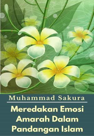 Cover of the book Meredakan Emosi Amarah Dalam Pandangan Islam by Michael Wright