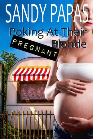 Book cover of Poking At Their Pregnant Blonde