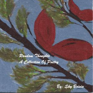 Cover of the book Random Thoughts by Sky Boivin