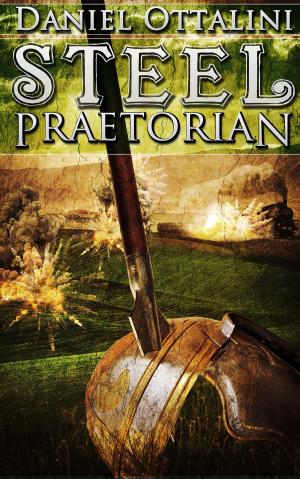 Cover of the book Steel Praetorian by Beth Sadler
