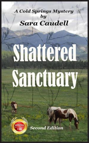 Cover of the book Shattered Sanctuary by Sara de Miguel