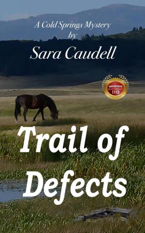 Cover of the book Trail of Defects by Patrick Quentin