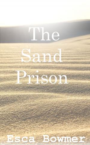 bigCover of the book The Sand Prison by 