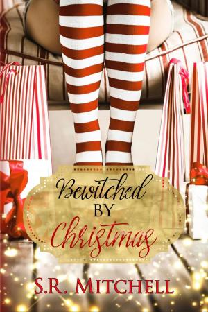 Cover of the book Bewitched by Christmas by Lina Pearl