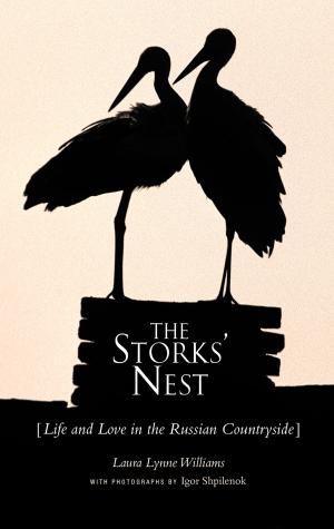 Cover of the book The Storks' Nest by Kenny Salwey