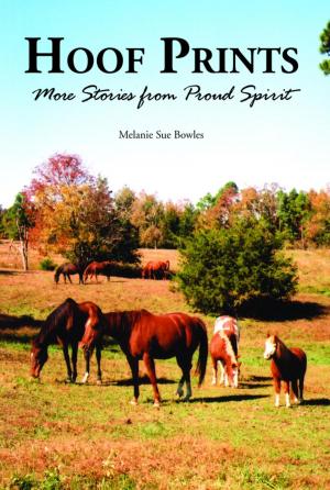 Cover of the book Hoof Prints by Janis Owens