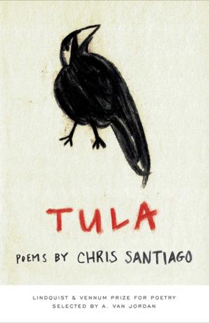 Cover of the book Tula by Deni Ellis Bechard