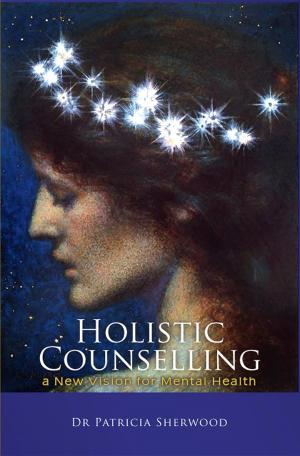 Cover of the book Holistic Counselling by Lenard Tillery