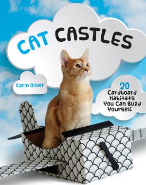 Cover of the book Cat Castles by Melissa Heckscher, Emily Sikking, M.D.