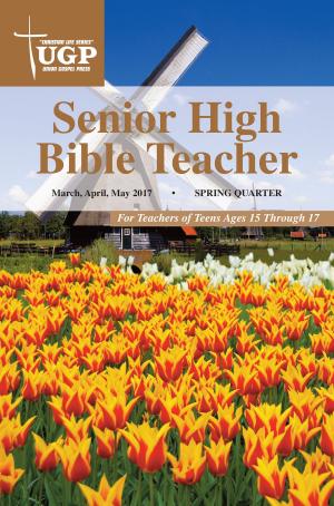 Book cover of Senior High Bible Teacher