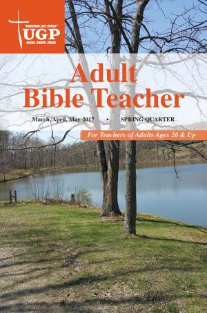 Cover of the book Adult Bible Teacher by David Rowland