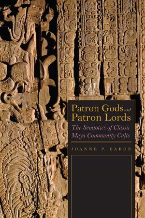 Cover of the book Patron Gods and Patron Lords by Rob Schlegel