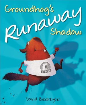 Book cover of Groundhog's Runaway Shadow