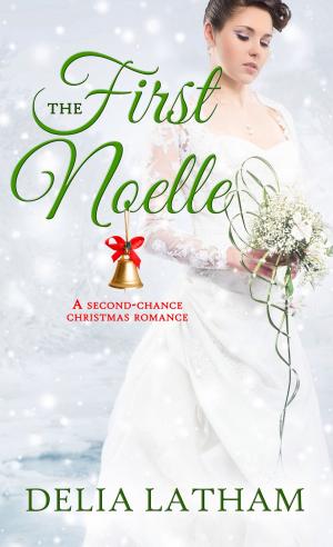 Book cover of First Noelle