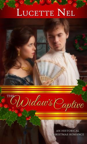 Book cover of Widow's Captive