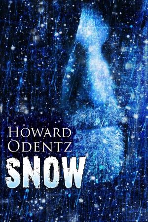 Cover of the book Snow by Donnell Ann Bell