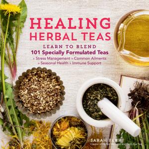 Cover of the book Healing Herbal Teas by Leslie M. Alexander, Ph.D., RH(AHG), Linda A. Straub-Bruce, BS Ed, RDH