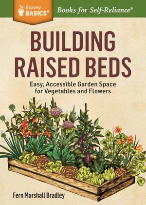 Cover of the book Building Raised Beds by Ellen Zachos