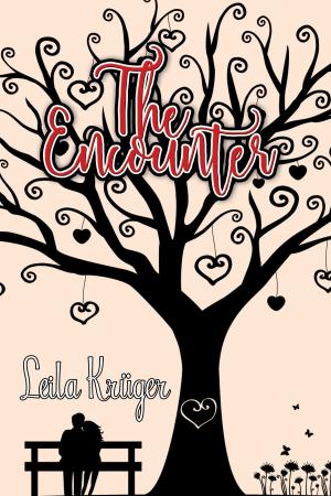 Cover of the book The Encounter by Amity Wilde