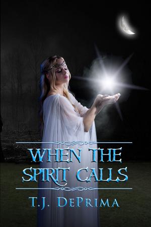 Cover of the book When the Spirit Calls by Tony Amca