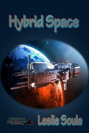 Cover of the book Hybrid Space by Elizabeth Ann Scarborough