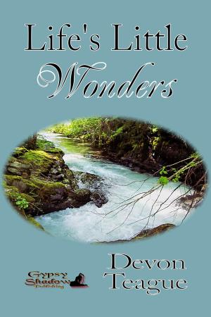 Cover of the book Life's Little Wonders by Steven P. Marini