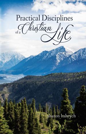 Cover of the book Practical Disciplines of a Christian Life by Robert Leslie Holmes