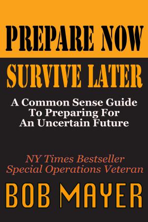 Cover of the book Prepare Now by Bob Mayer and Jen Talty
