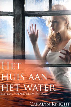 Cover of the book Het huis aan het water by Caralyn Knight