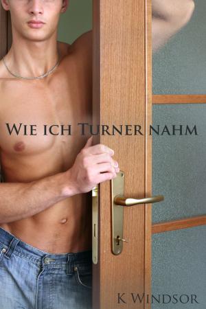 Cover of the book Wie ich Turner nahm by Alan Lucard