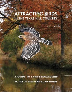 Cover of the book Attracting Birds in the Texas Hill Country by Bruce A. Glasrud