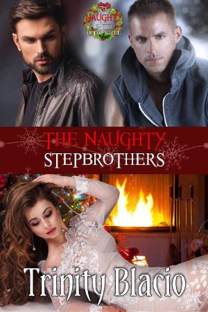 Cover of the book The Naughty Stepbrothers by Louisa Bacio