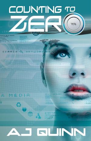 Cover of the book Counting to Zero by Robyn Nyx